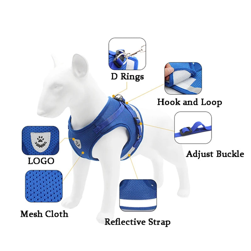 Comfortable Reflective Pet Harness and Leash for Small Breeds - Pet Buddy Boutique