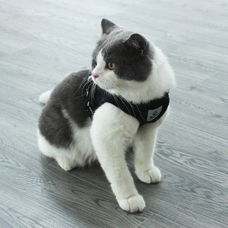 Comfortable Reflective Pet Harness and Leash for Small Breeds - Pet Buddy Boutique