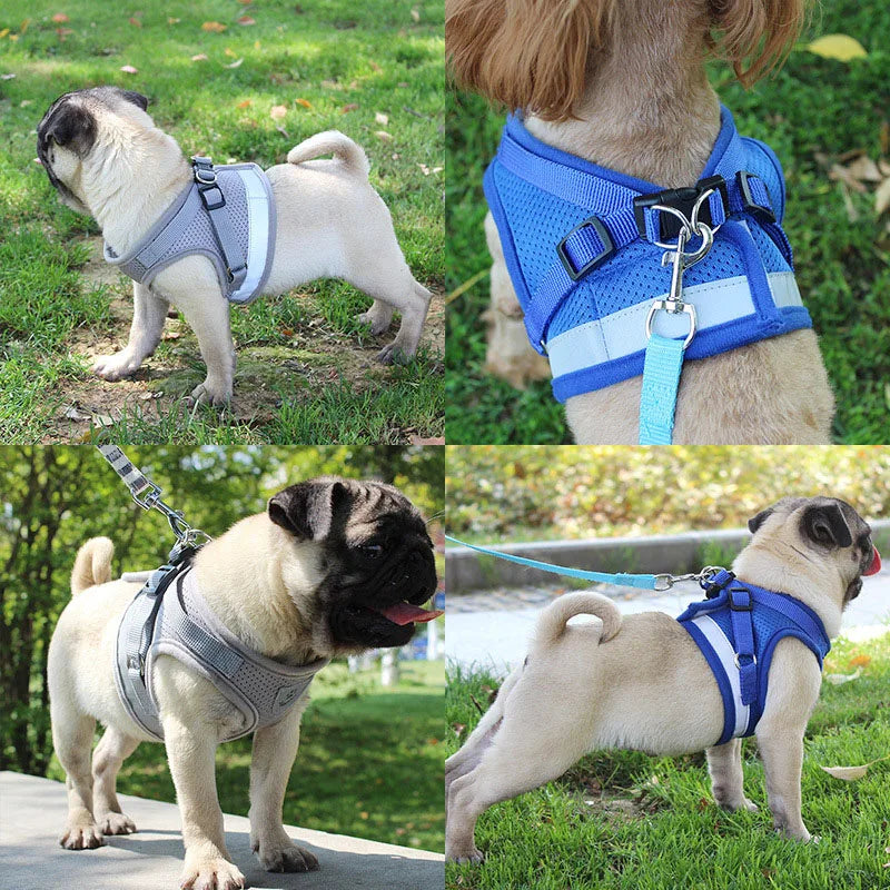 Comfortable Reflective Pet Harness and Leash for Small Breeds - Pet Buddy Boutique