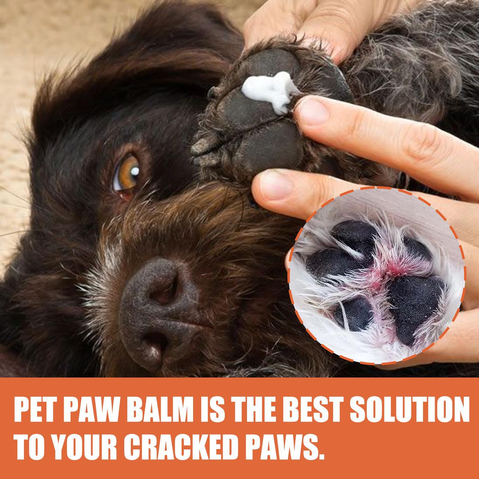 Paw Rescue, Moisturizing Pet Paw Care Cream For Cats And Dogs - Pet Buddy Boutique